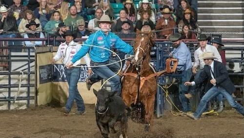 Riley Webb roping a calf at a rodeo